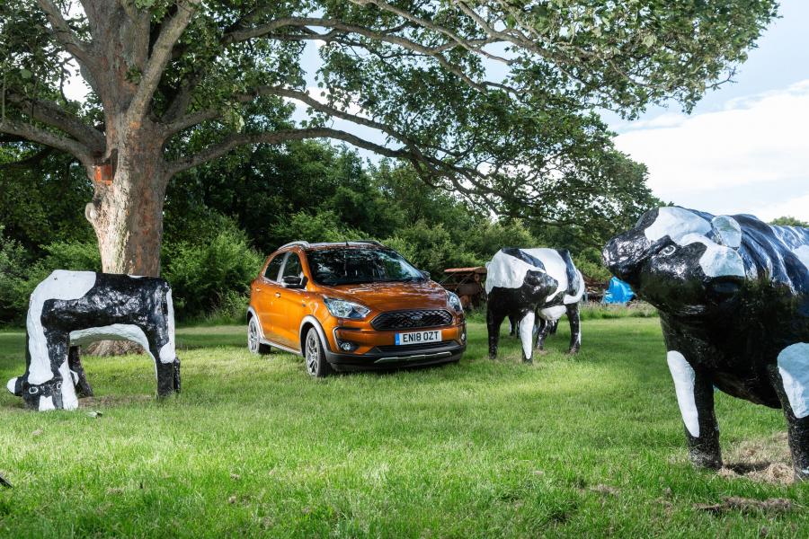  Ford Ka+ Active 2018 года  (UK) (фото 21 из 27)
